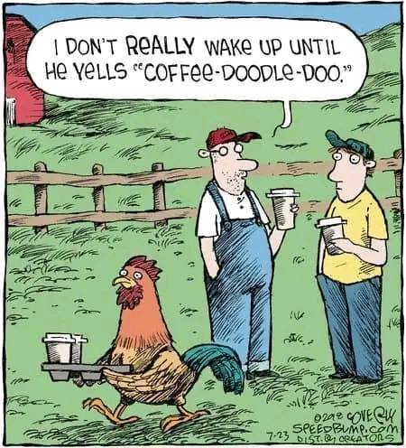 459019275_122168075636166036_8625663759774330654_n