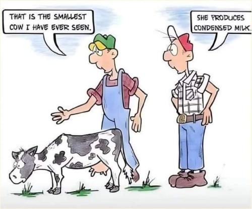 457516009_1939118909871654_3264667478764782096_n