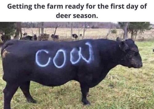 2A3847E0-8208-49F4-9714-B545306995D9