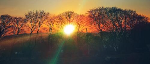 PicsArt_02-27-08.55.40