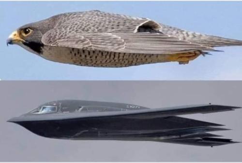 Screenshot_20240902_160543_Facebook