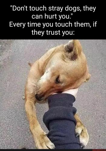 2afccf2b36fb508a7f4ba4ae5b1bf5246945b1596d0705e72a7a5bac6c06bf2f_1