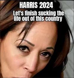 kamala harris516
