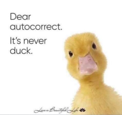 9A0B3DC4-37AE-4231-B353-E58D947F7F06