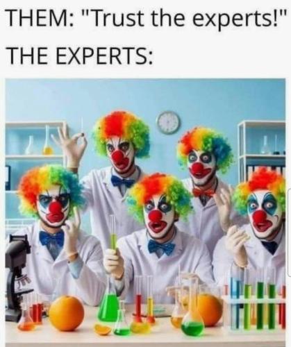 image_1DE334EA-58F4-4606-941A-4B1192AA34EF