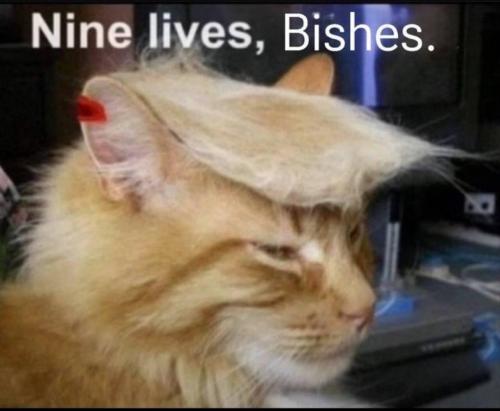 image_FEB7127A-997B-427B-B32C-44D2A3326D13