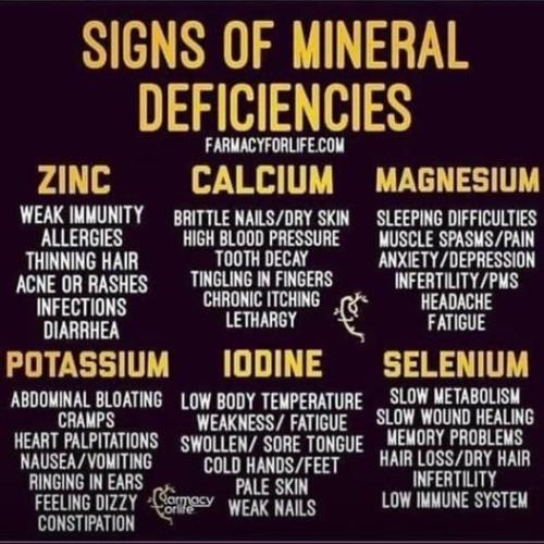 ,                             ,     ,