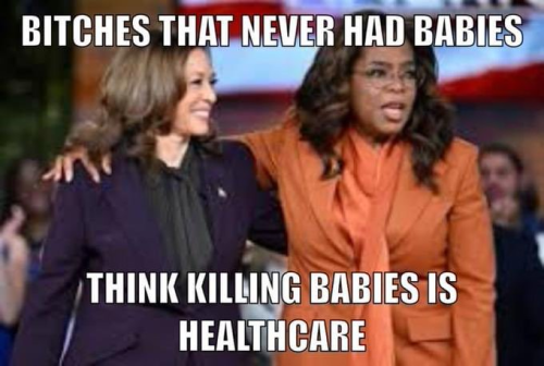 image_2024-09-22_085437279