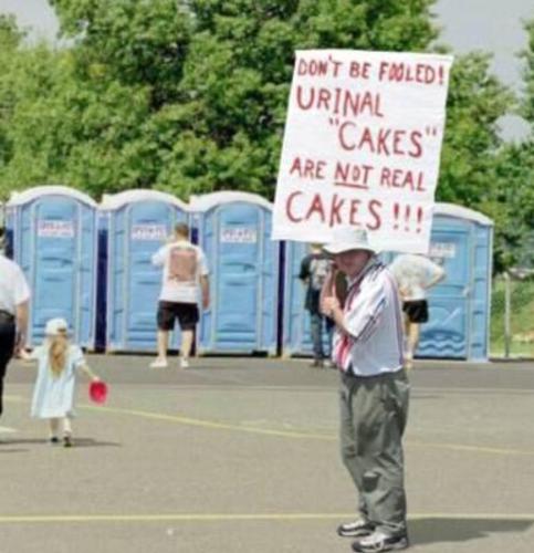 Screenshot_20240923-143129_Brave