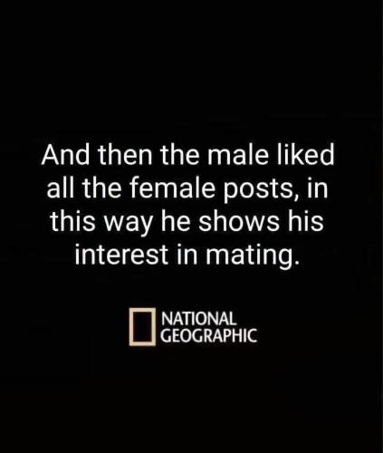 image_87B45E64-E3DE-4838-8415-D920902A4275