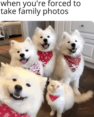 forced-take-family-photos