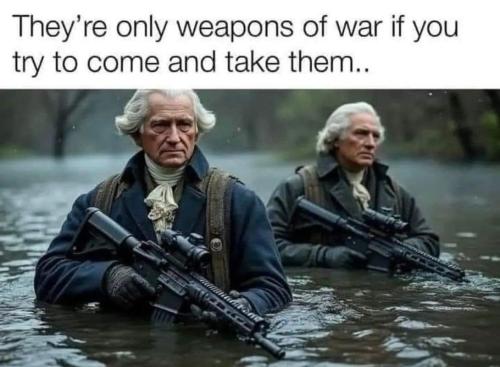 only wepns of war if attemped to take