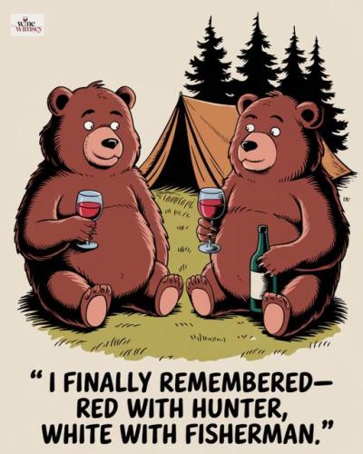 459009709_122116961498434248_1870079058788299662_n