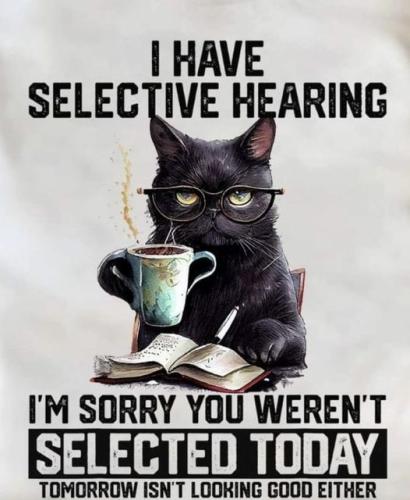 460004861_122112475628495113_2031535159798490021_n