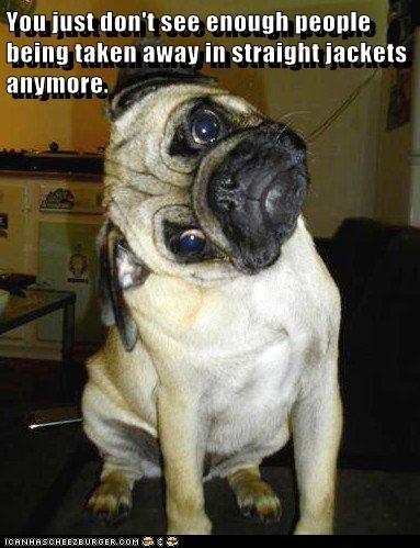 maybe-its-so-someone-can-open-the-noms-bag