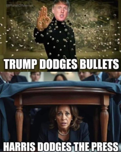 image_2024-09-22_092910083