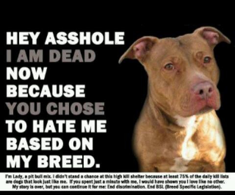 9b32ed815ab10e79c743cd6372824661