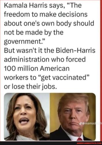 4098fe2e0a9a18864a089716b98c2221dcd35fa1edda5a863e7f28421100fc2f_1