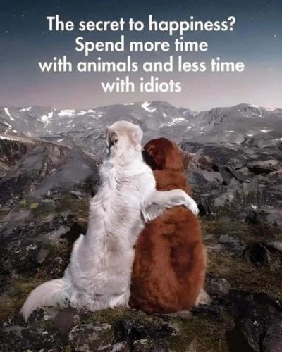 f958086fb7f660afee731a455beba95a