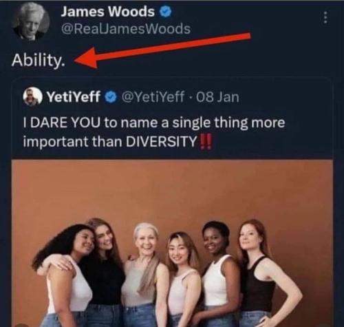 ability trumps diversity every time