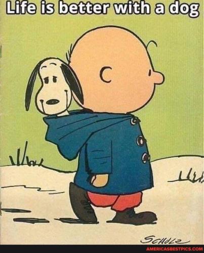 054e9a66d488eebf84585ee753598120b7d3ab6f64543a9f84e41b55c850f3d5_1