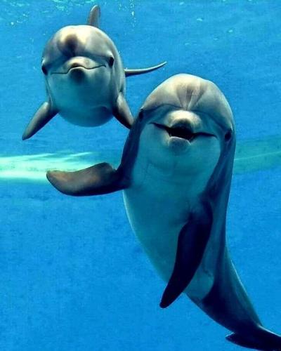 362981635_16029405135