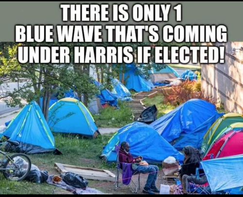 Blue Wave compliments of United Nations