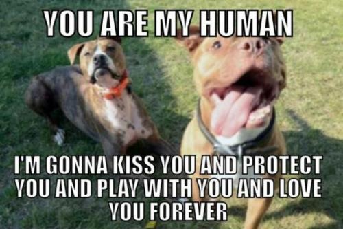 93f1724da7733569cb76d69b9a6ffe44