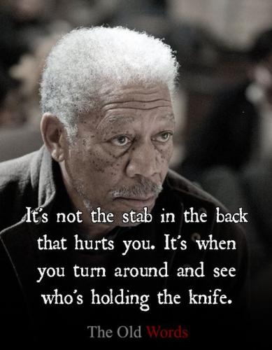 457473291_480400954913711_941643015172304501_n