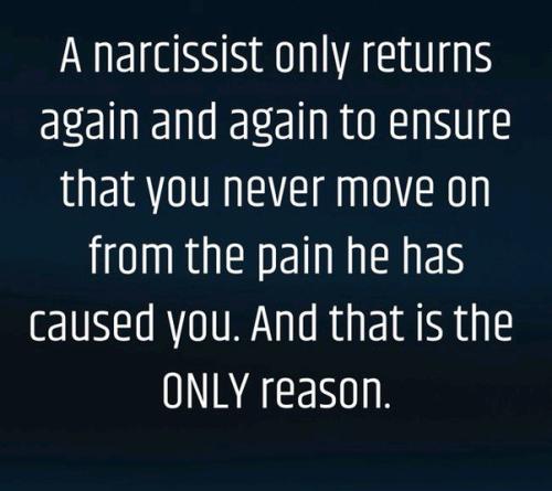 IMG_20240831_184642_675