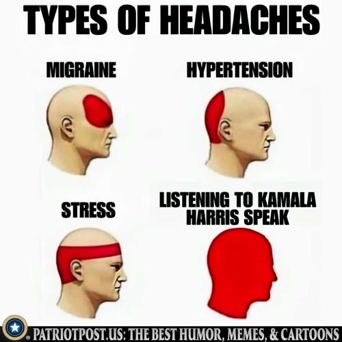 01J8GVGPMTEX5RHKQSS5FDFT6P