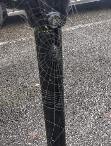 IMG_20240916_082214855