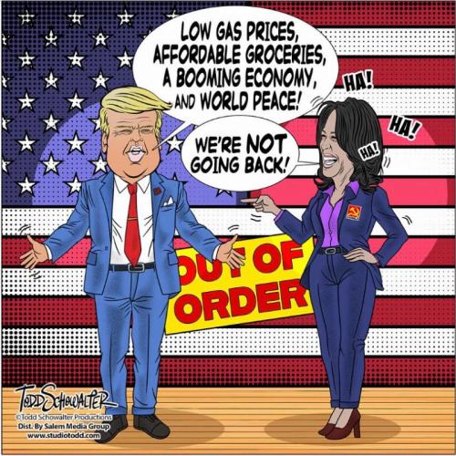 msor9eqvbwmhwu8o1grr_800[1]