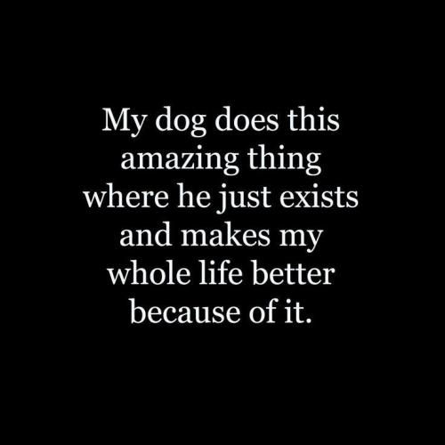 c366fd6ddc79da84c1639b8696ba2dfd