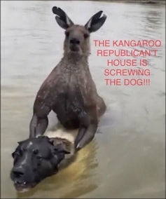 rinos23