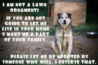 b57d942a4f42d67cb8f1978914cf7f82