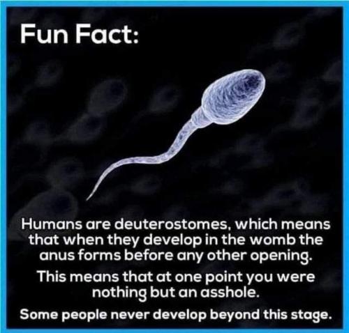 5b9f0a1b0751b3a211af3aa460bcd70d