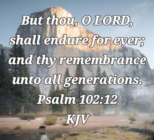 5baa2fe8-5ee4-4692-b633-3d776eaaaced