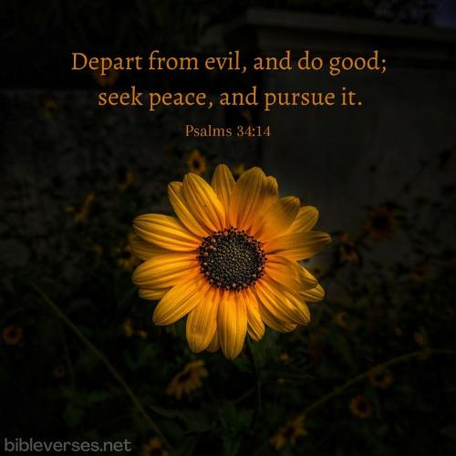 psalms-34-14