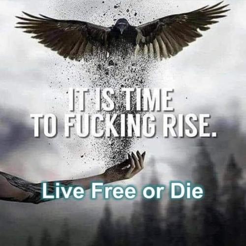 live free or die_2024 last election