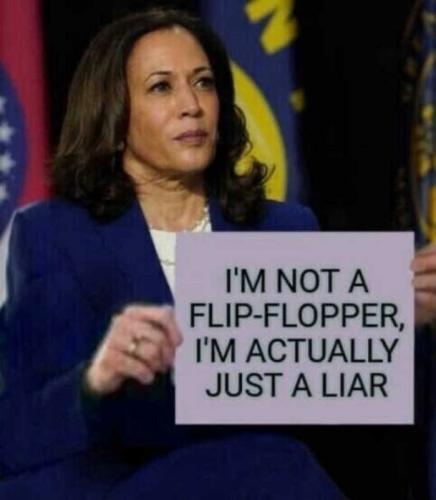 Liar