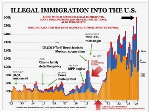 illegal immigration399