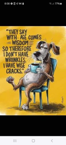 457706629_122171326532147421_2912081226468519720_n