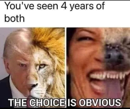 FB_IMG_1727548074921