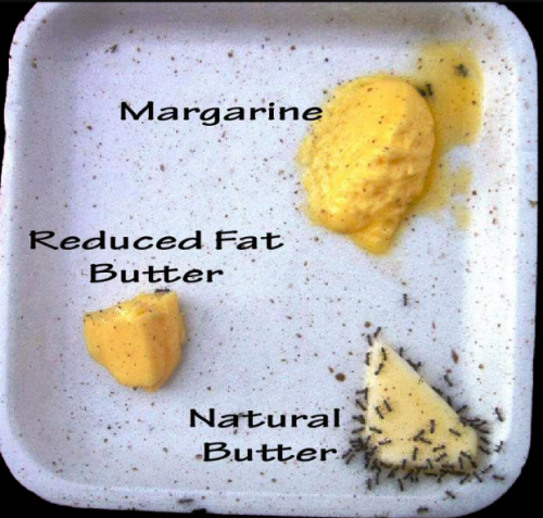 Screenshot_2024-08-30-14-57-38_kindlephoto-1117195678