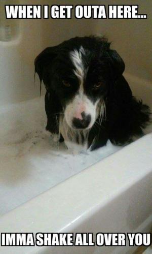 0f05401256fa43e4b4d759a825e39ac3