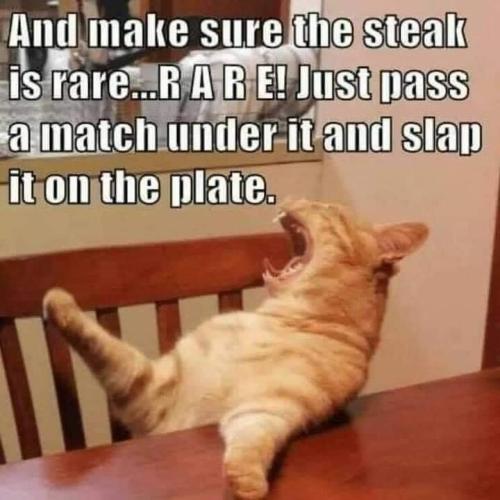 051527cd510925931296f52c665bc562