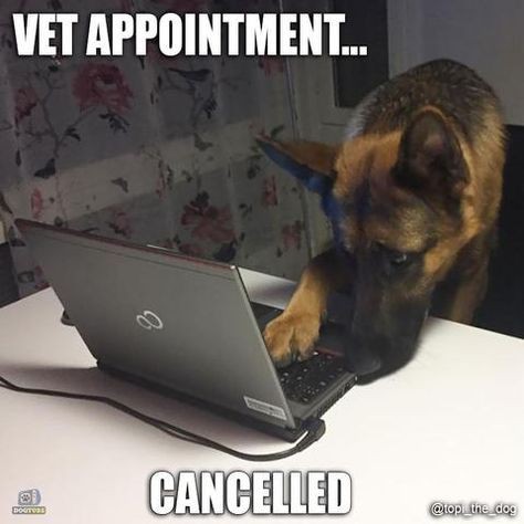 4f586986b6ff8db8aa6ef3fb43329961