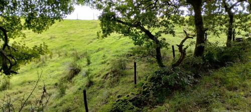 IMG_20240914_124605886_HDR