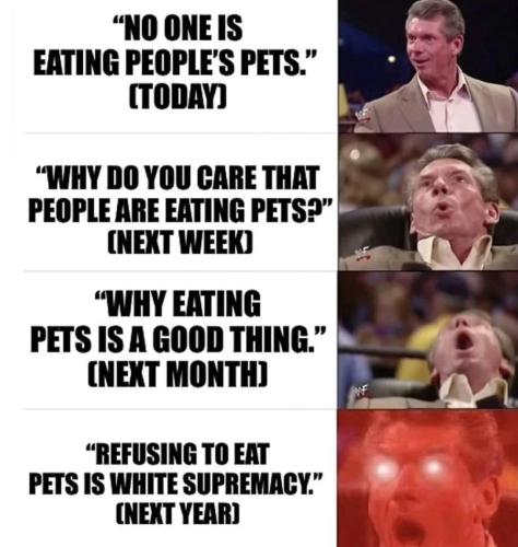 image_34BD3AE8-542E-42E9-973F-6276803F45CC